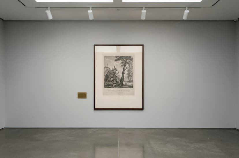 Muzejní skla Tru Vue