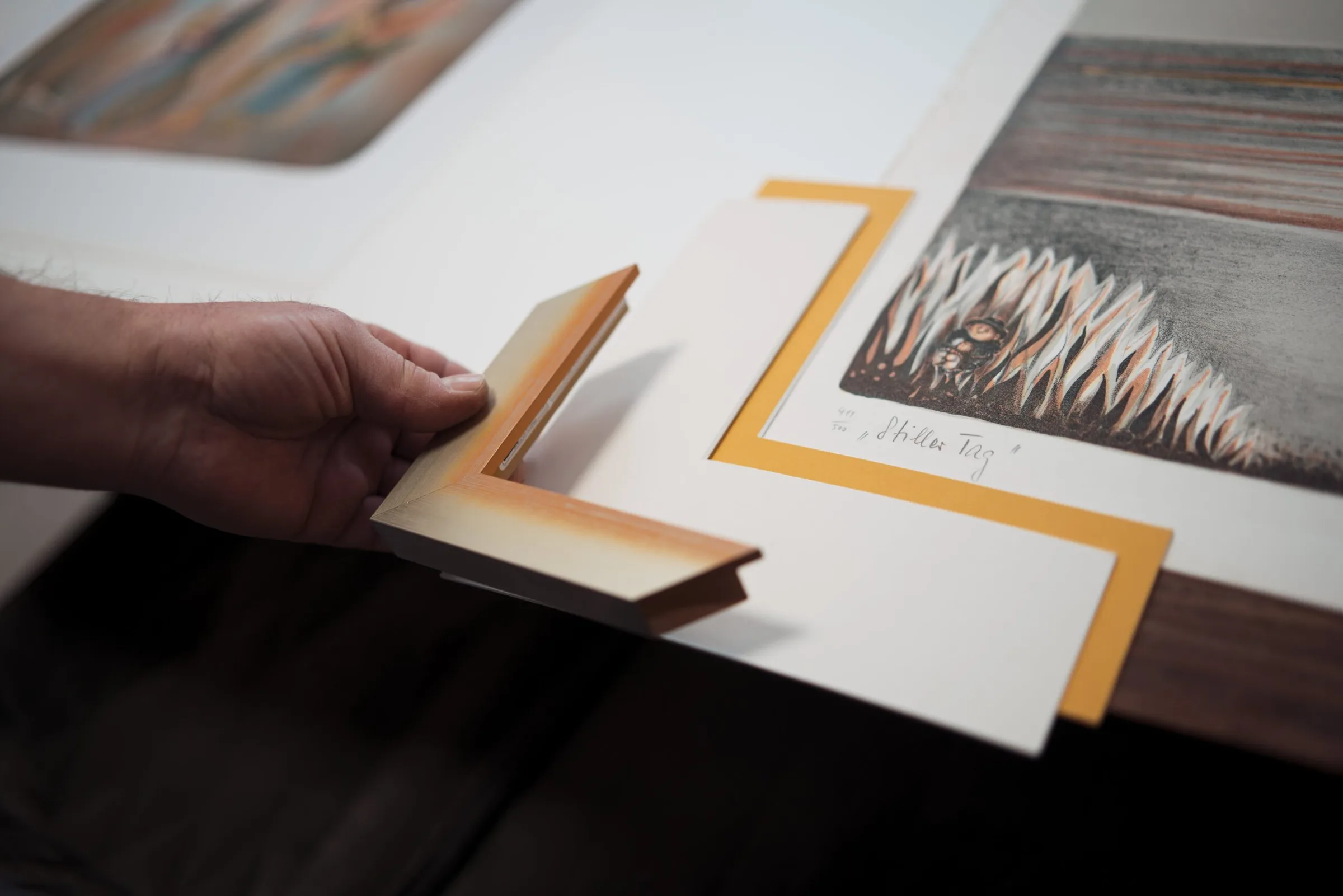 Rámovaná grafika s archivní paspartou